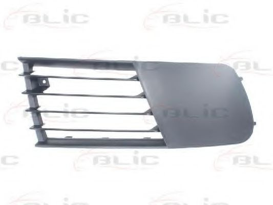 Grila ventilatie, bara protectie SEAT IBIZA IV (6L1) (2002 - 2009) BLIC 6502-07-6609998P piesa NOUA