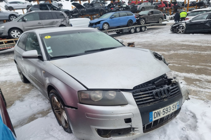 Haion Audi A3 8P 2004 hatchback 1.9 diesel