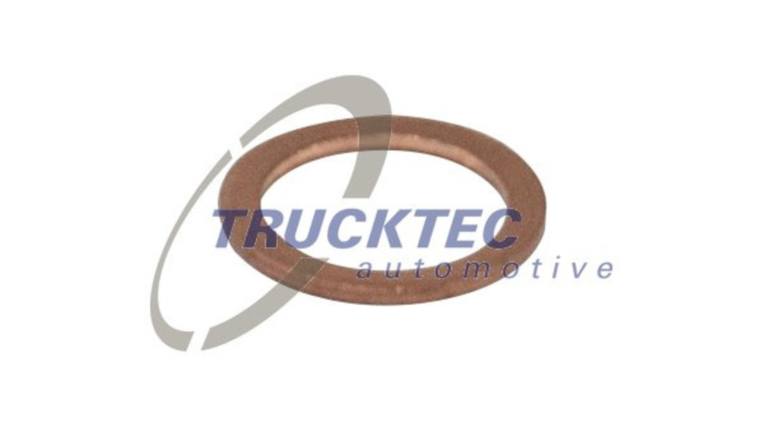 Inel de etansare (0167015 TRUCKTEC)