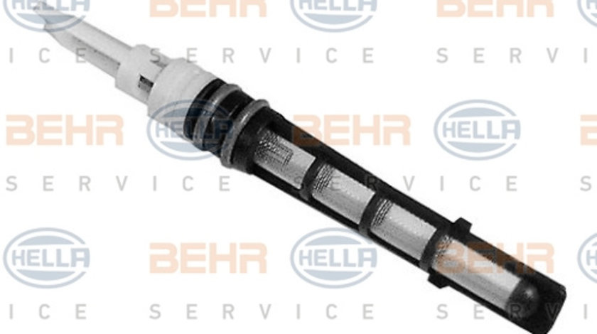 Injectoare, supapa expansiune (8UW351233081 HELLA) FORD