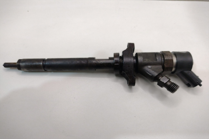 Injector 1.6 D 0445110259 Peugeot 308 T7 [2007 - 2011]