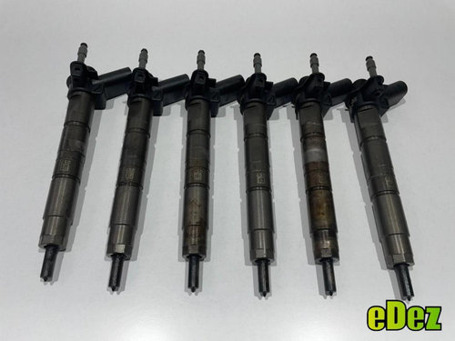 Injector BMW Seria 5 GT (2009-2017) [F07] 2.0 3.0 d euro 5 0445117030