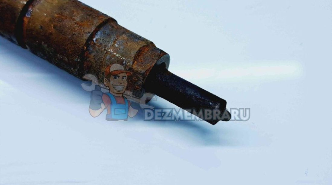 Injector Bmw X1 (E84) [Fabr 2009-2015] 7798446 2.0 N47 105KW / 140CP