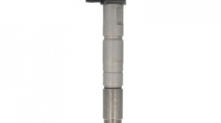 Injector BMW X5 (E70) 2007-2013 #3 0445117017