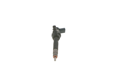 Injector Bosch Bmw 0 445 110 616