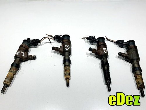 Injector Citroen C3 (2002->) [FC_] 1.4 hdi 8HZ 0445110252