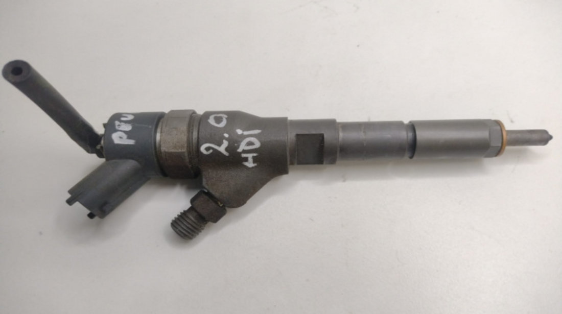 Injector, cod 0445110076 0445110076 Peugeot Boxer Typ244 [2002 - 2006]
