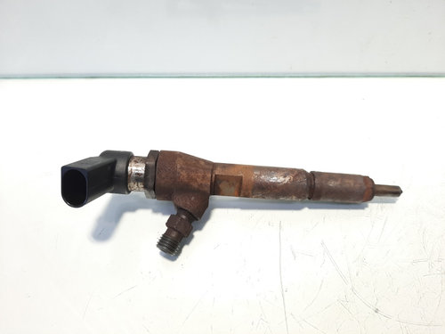 Injector, cod 4M5Q-9F593-AD, Ford Transit Connect (P65), 1.8 TDCI, P9PA (idi:469139)