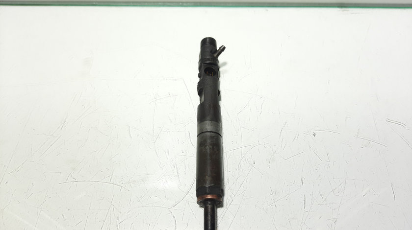 Injector, cod 8200365186, EJBR01801A, Renault Kangoo 1, 1.5 DCI, K9K702 (id:462538)