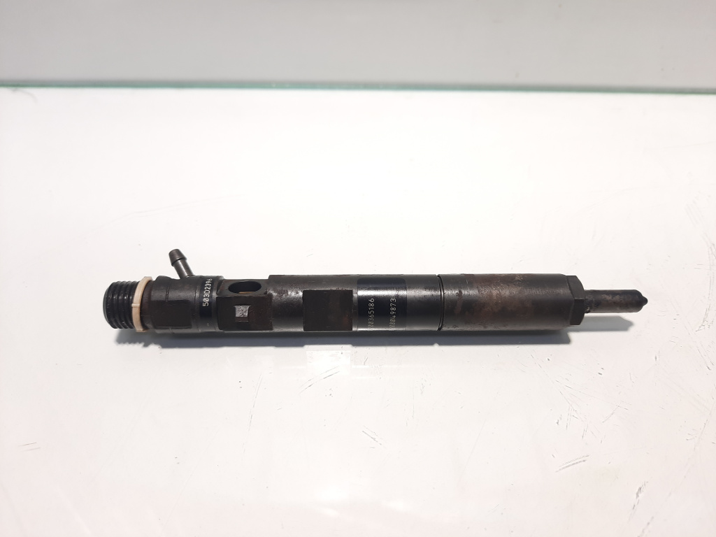 Injector, cod 8200365186, EJBR01801A, Renault Kangoo 1, 1.5 dci, K9K702 (id:458888)