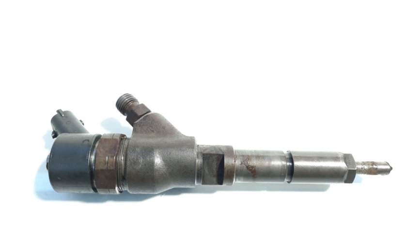 Injector, cod 9641742880, 0445110076, Citroen C5 (I), 2.0 HDI, RHY (idi:448072)