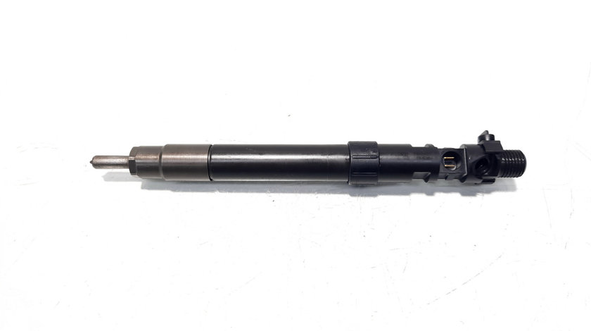 Injector, cod 9686191080, EMBR00101D, Citroen C4 (II), 2.0 HDI, RHH (idi:529998)