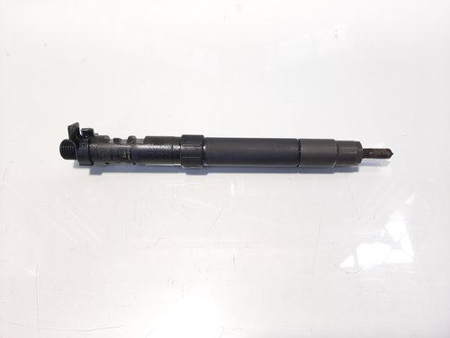 Injector, cod 9686191080, EMBR00101D, Citroen C8, 2.0 hdi, RHH (idi:474466)