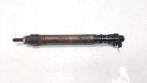 Injector, cod 9686191080, EMBR00101D, Ford C-Max 2...