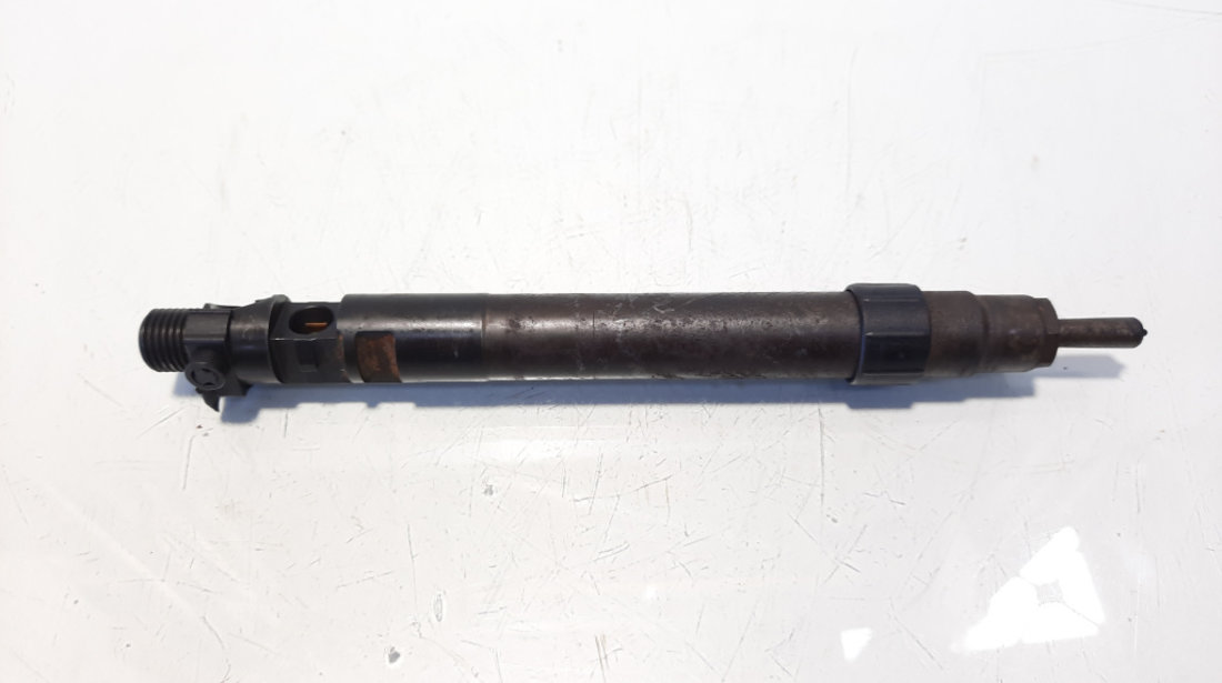 Injector, cod 9686191080, EMBR00101D, Ford Galaxy 2, 2.0 TDCI, UFWA (id:609621)