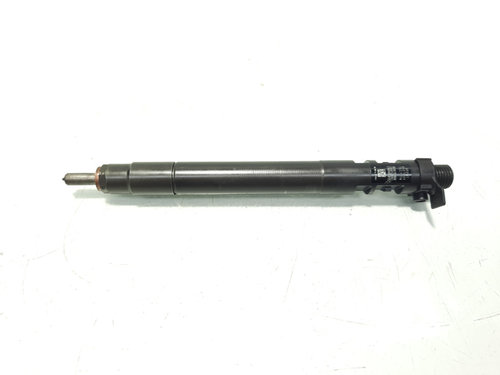 Injector, cod 9686191080, EMBR00101D, Ford Galaxy 2, 2.0 TDCI, UFWA (id:571173)