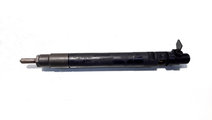 Injector, cod 9686191080, EMBR00101D, Ford Grand C...