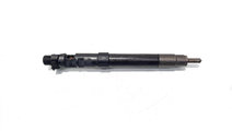 Injector, cod 9686191080, EMBR00101D, Ford Kuga I,...