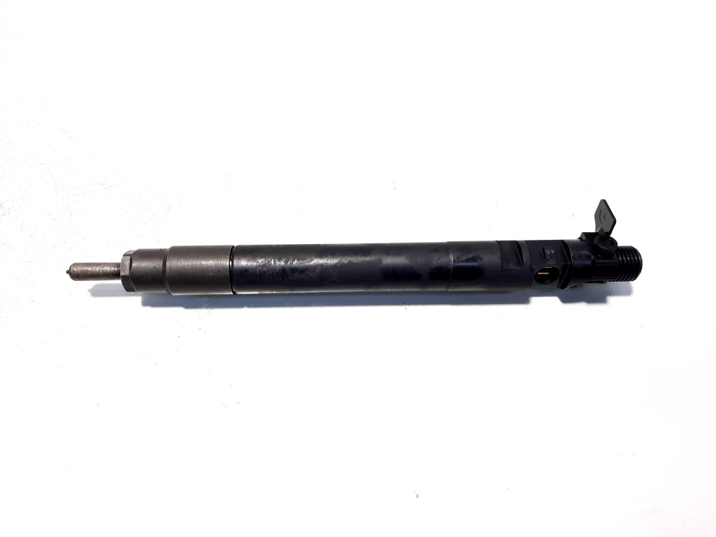 Injector, cod 9686191080, EMBR00101D, Peugeot 407 SW, 2.0 HDI, RHH (idi:516583)