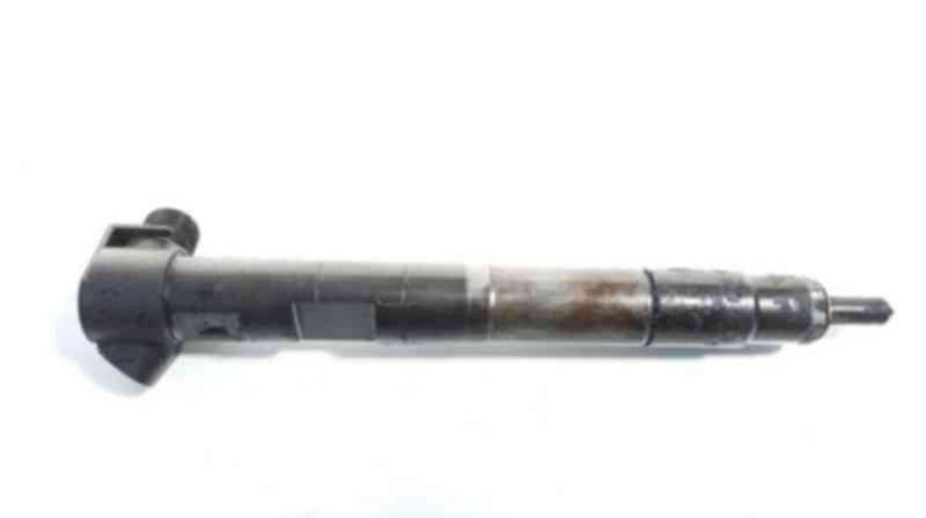 Injector,cod A6510704987, Mercedes Clasa C (W204) 2.2cdi (id:296378)