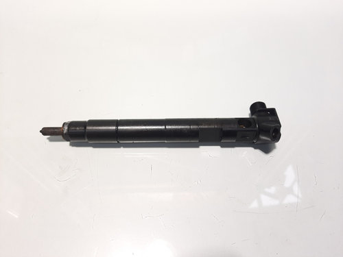 Injector, cod A6510704987, Mercedes Clasa E (W212) 2.2 cdi, OM651924 (id:474130)