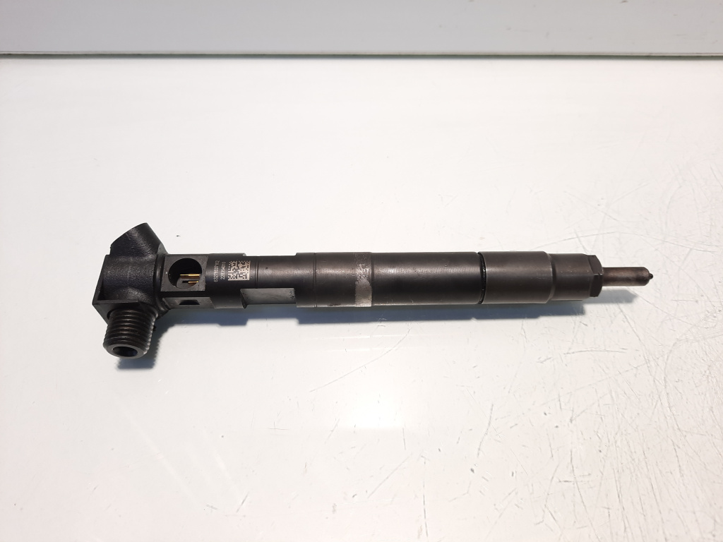 Injector Delphi, cod A6510702887, Mercedes Clasa E (W212), 2.2 CDI, OM651924 (id:566515)