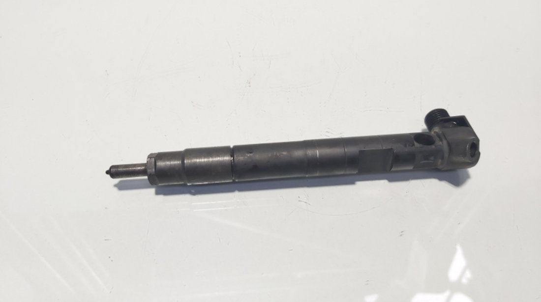 Injector Delphi, cod A6510702887, Mercedes Clasa E (W212), 2.2 CDI, OM651924 (id:624258)