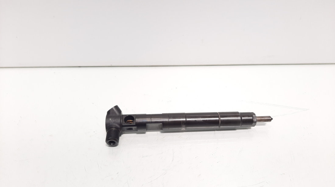 Injector Delphi, cod A6510702887, Mercedes Clasa E T-Model (S212), 2.2 CDI, OM651924 (idi:600325)