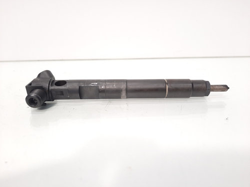 Injector Delphi, cod A6510702887, Mercedes Clasa E (W212) 2.2 CDI, OM651924 (id:600732)