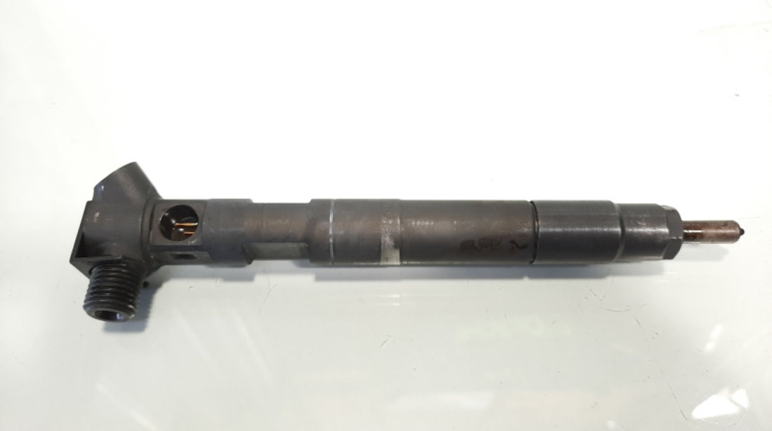 Injector Delphi, cod A6510704987, Mercedes Clasa C (W204), 2.2 CDI, OM651911 (idi:484660)