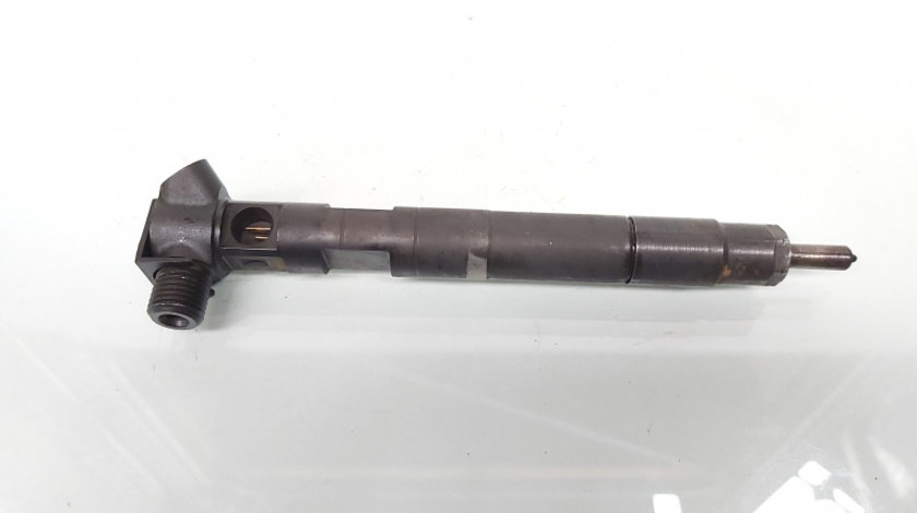 Injector Delphi, cod A6510704987, Mercedes Clasa E (W212) 2.2 CDI, OM651924 (id:648941)