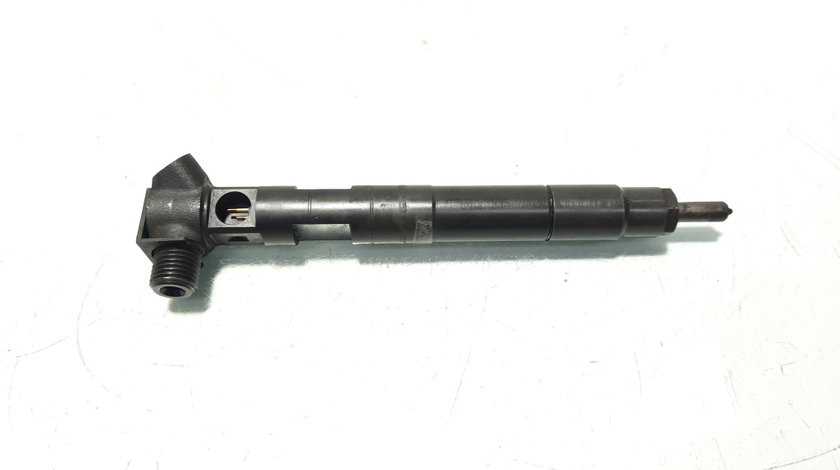 Injector Delphi, cod A6510704987, Mercedes Clasa E (W212) 2.2 CDI, OM651924 (id:568245)