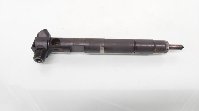 Injector Delphi, cod A6510704987, Mercedes Clasa E (W212) 2.2 CDI, OM651924 (id:649557)