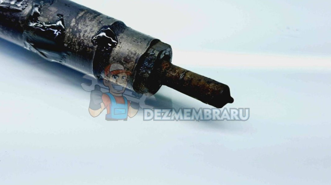 Injector Ford Kuga II [Fabr 2012-prezent] 9686191080 2.0 C20DD0X