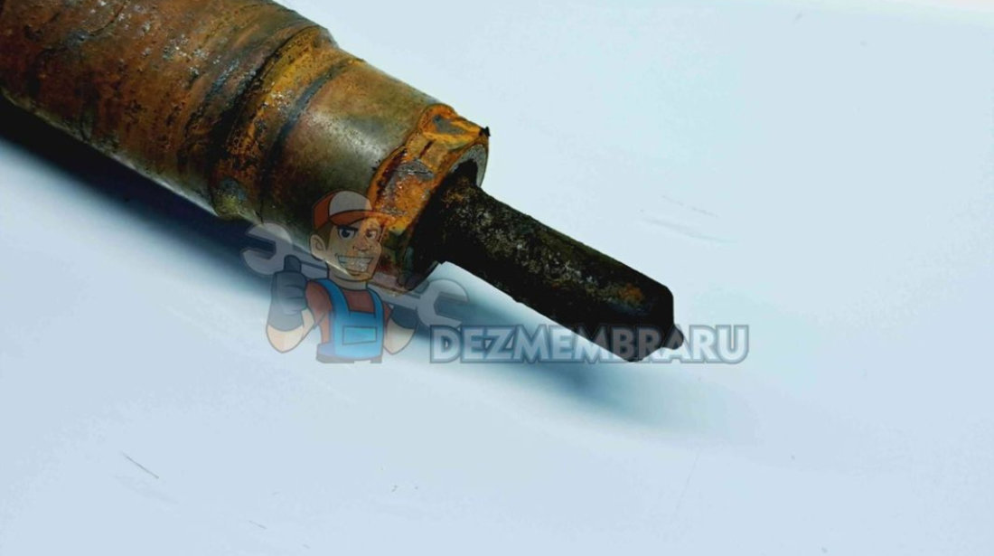 Injector Ford Kuga II [Fabr 2012-prezent] 9686191080 2.0 C20DD0X