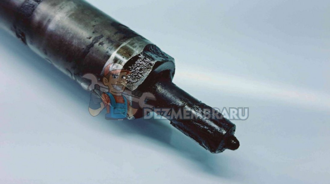 Injector Hyundai Santa Fe 2 (CM) [Fabr 2005-2012] 33800-27800 | 0445110254 2.2 D4EB