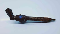 Injector LAND ROVER DISCOVERY 3 (L319) [Fabr 2005-...