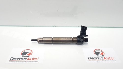 Injector, Land Rover Freelander 2 (FA) 2.2 td4, cod 9659228880 (id:352281)