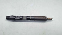 Injector Renault Clio 3 [Fabr 2005-2012] 166000897...