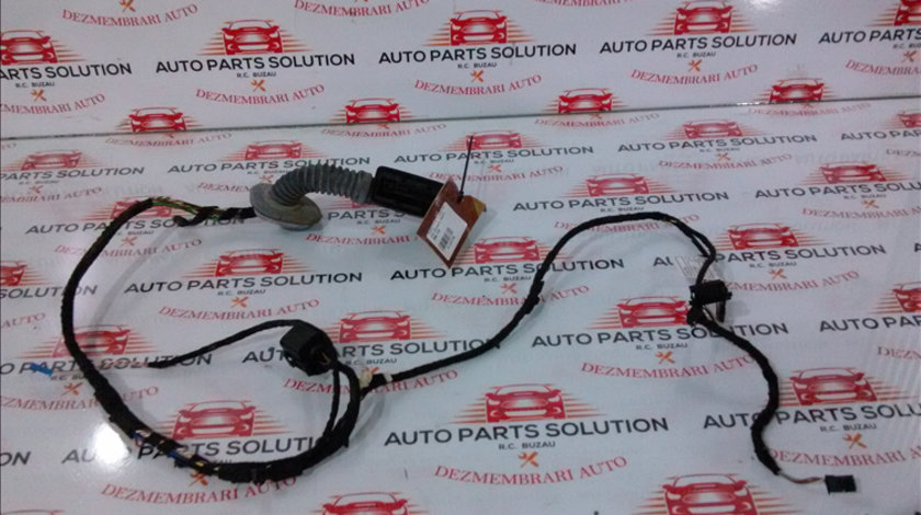 Instalatie electrica usa dreapta spate BMW 3 (F30) 2011-2017