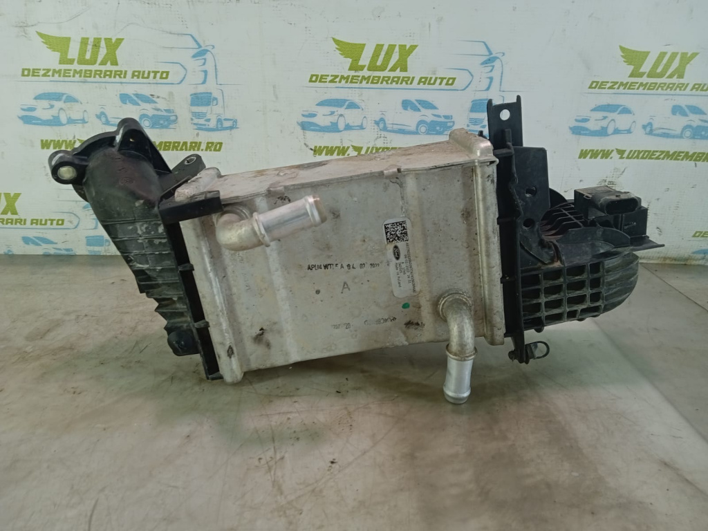 Intercooler 1.5 tdci ZTDA Ford Focus 4 [2018 - 2022] 1.5 tdci ZTDA