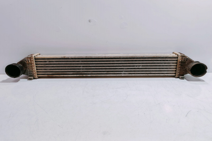 Intercooler A1695000000 Mercedes-Benz B-Class W245 [2005 - 2008]