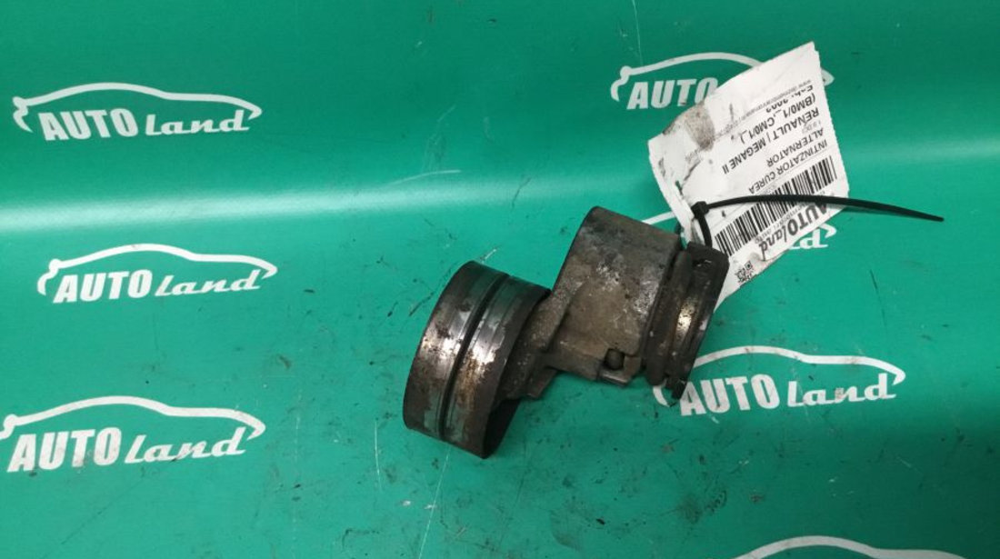 Intinzator Curea Alternator 0721206280001 1.9 DCI Renault MEGANE II BM0/1 ,CM0/1 2002