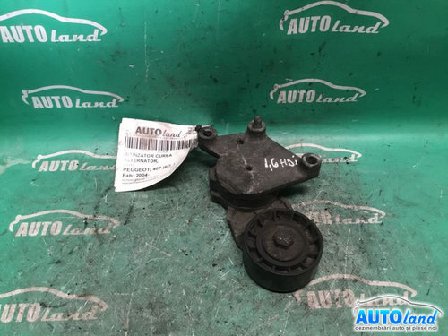 Intinzator Curea Alternator 1.6 HDI Peugeot 407 6D 2004