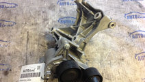 Intinzator Curea Alternator 117105124r +suport Alt...