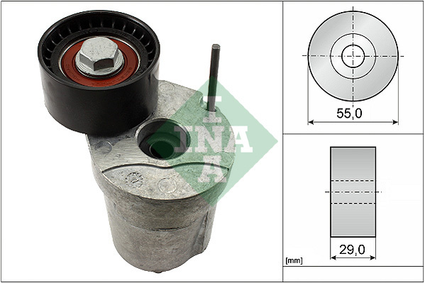 Intinzator curea, curea distributie (534032010 INA) BMW