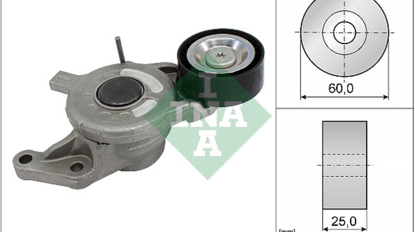 Intinzator curea, curea distributie (534065710 INA) Citroen,DS,OPEL,PEUGEOT,TOYOTA,VAUXHALL