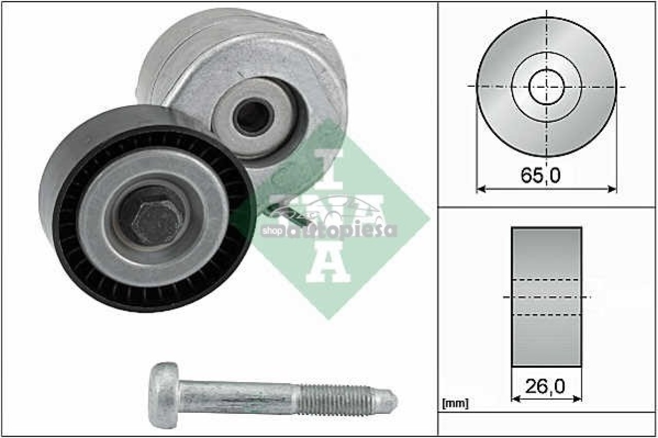 Intinzator curea, curea distributie FIAT FIORINO Combi (225) (2007 - 2016) INA 534 0607 10 piesa NOUA