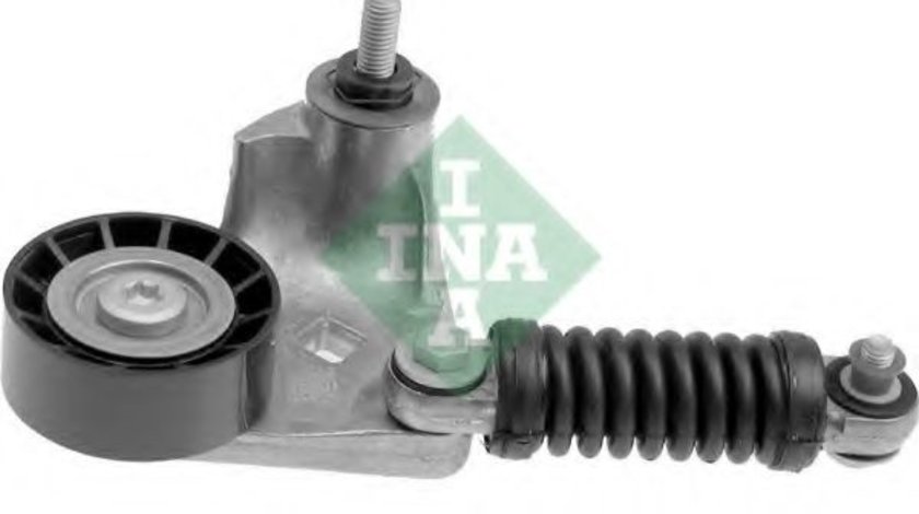 Intinzator curea, curea distributie JAGUAR X-TYPE (CF1) (2001 - 2009) INA 534 0169 10 piesa NOUA