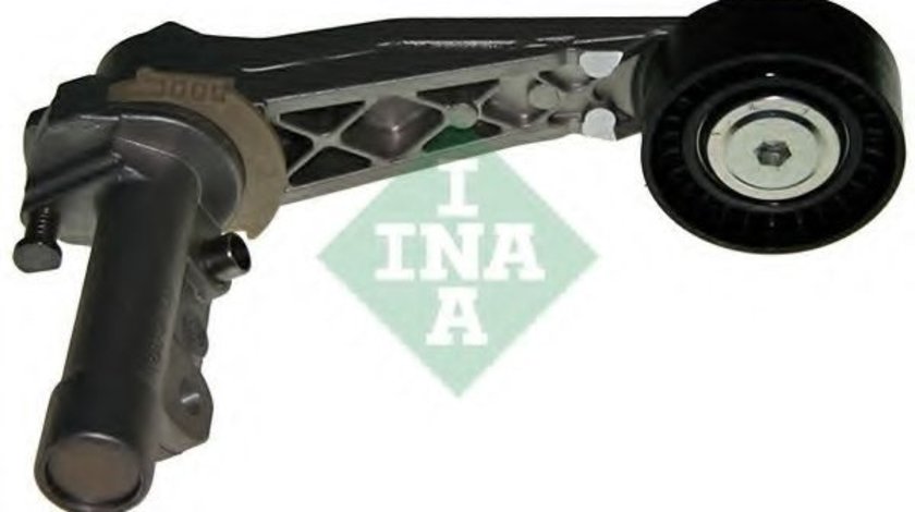 Intinzator,curea transmisie CITROEN DS3 (2009 - 2015) INA 534 0318 10 piesa NOUA